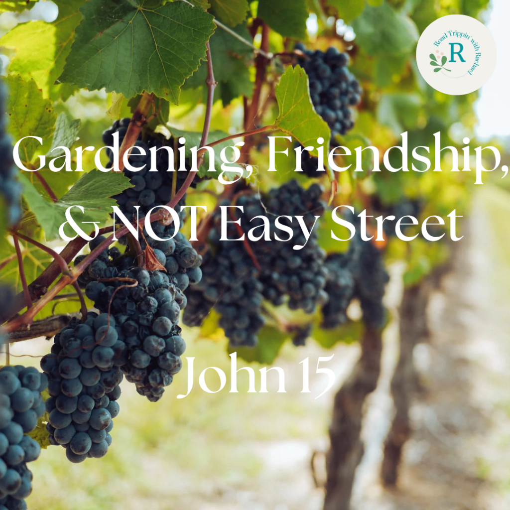 John 15 – Gardening, Friendship, and NOT Easy Street